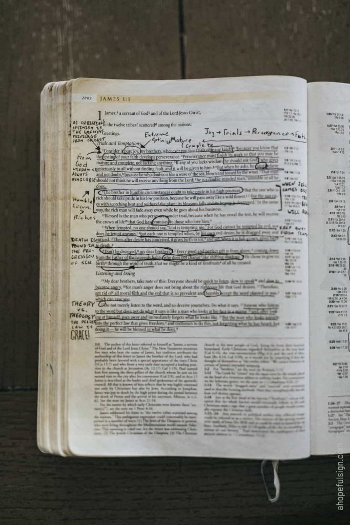 Annotated Bible page