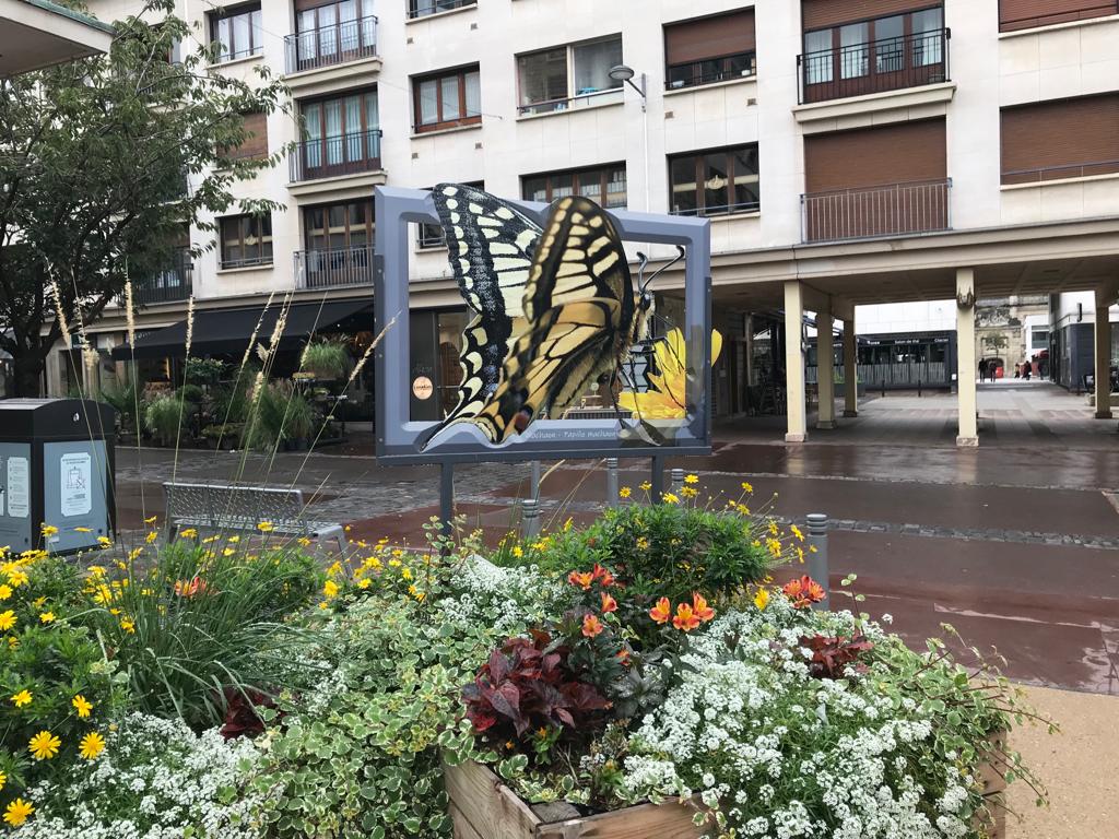 giant yellow butterfly in public park